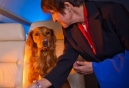 Sit n’ Stay Global Featured on Posh Pets: Lifestyles of the Rich and Furry
